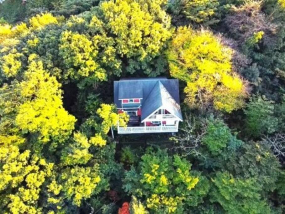 絶景大型ログハウス最大20人ハートウッド熱海邸 Атами Экстерьер фото